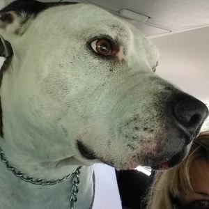 Meet your Posher, Tami